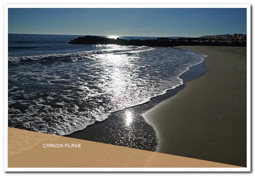 Appartement T2 - Golf De Fontcaude - Residence Cote Green A Juvignac 34990 외부 사진